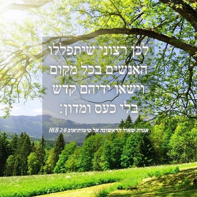Picture 04 - אגרת שאול הראשונה אל טימותיאוס 2:8 HEB - לכן רצוני שיתפללו האנשים - Bible Verse Picture
