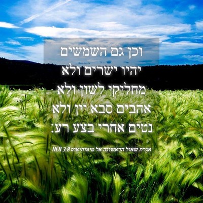 Picture 04 - אגרת שאול הראשונה אל טימותיאוס 3:8 HEB - וכן גם השמשים יהיו ישרים - Bible Verse Picture