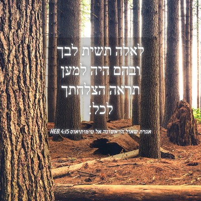 Picture 04 - אגרת שאול הראשונה אל טימותיאוס 4:15 HEB - לאלה תשית לבך ובהם היה למען - Bible Verse Picture