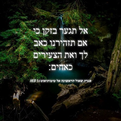 Picture 04 - אגרת שאול הראשונה אל טימותיאוס 5:1 HEB - אל תגער בזקן כי אם תזהירנו - Bible Verse Picture