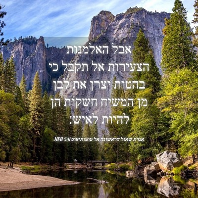 Picture 04 - אגרת שאול הראשונה אל טימותיאוס 5:11 HEB - אבל האלמנות הצעירות אל - Bible Verse Picture