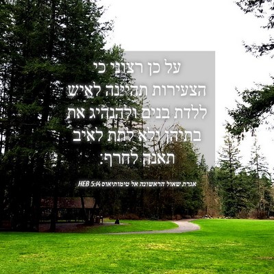 Picture 04 - אגרת שאול הראשונה אל טימותיאוס 5:14 HEB - על כן רצוני כי הצעירות - Bible Verse Picture