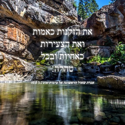 Picture 04 - אגרת שאול הראשונה אל טימותיאוס 5:2 HEB - את הזקנות כאמות ואת - Bible Verse Picture
