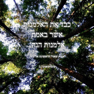 Picture 04 - אגרת שאול הראשונה אל טימותיאוס 5:3 HEB - כבד את האלמנות אשר באמת - Bible Verse Picture