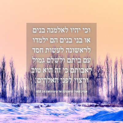 Picture 04 - אגרת שאול הראשונה אל טימותיאוס 5:4 HEB - וכי יהיו לאלמנה בנים או בני - Bible Verse Picture