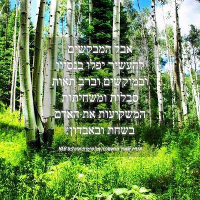 Picture 04 - אגרת שאול הראשונה אל טימותיאוס 6:9 HEB - אבל המבקשים להעשיר יפלו - Bible Verse Picture