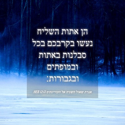 Picture 04 - אגרת שאול השניה אל הקורינתים 12:12 HEB - הן אתות השליח נעשו בקרבכם - Bible Verse Picture