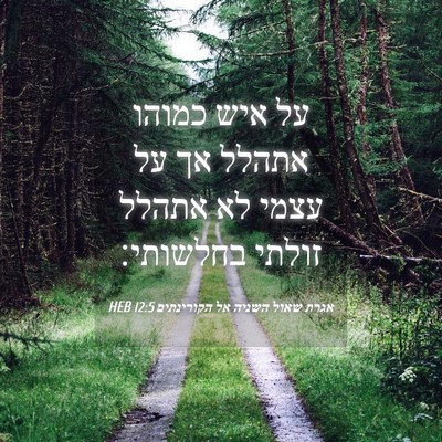 Picture 04 - אגרת שאול השניה אל הקורינתים 12:5 HEB - על איש כמוהו אתהלל אך על - Bible Verse Picture