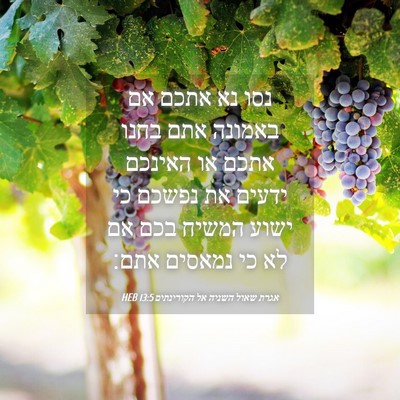 Picture 04 - אגרת שאול השניה אל הקורינתים 13:5 HEB - נסו נא אתכם אם באמונה אתם - Bible Verse Picture