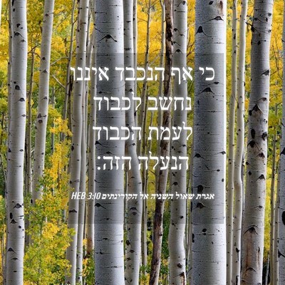 Picture 04 - אגרת שאול השניה אל הקורינתים 3:10 HEB - כי אף הנכבד איננו נחשב - Bible Verse Picture