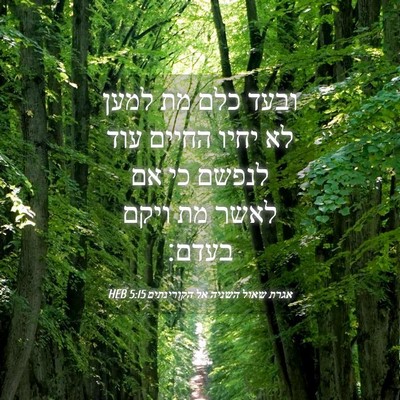 Picture 04 - אגרת שאול השניה אל הקורינתים 5:15 HEB - ובעד כלם מת למען לא יחיו - Bible Verse Picture