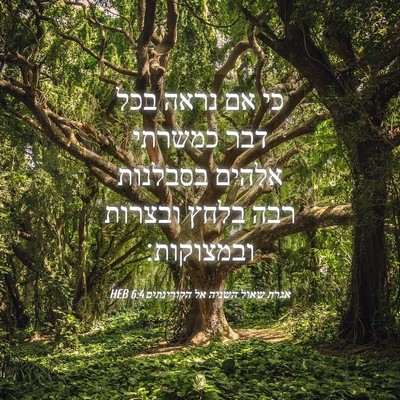 Picture 04 - אגרת שאול השניה אל הקורינתים 6:4 HEB - כי אם נראה בכל דבר כמשרתי - Bible Verse Picture