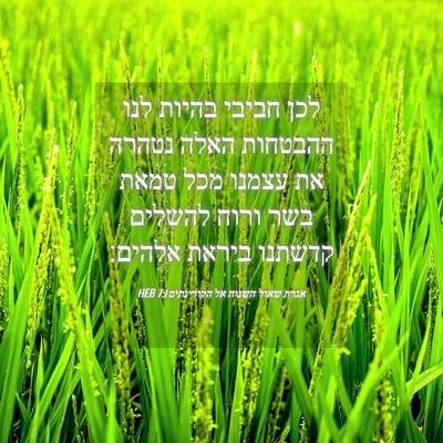Picture 04 - אגרת שאול השניה אל הקורינתים 7:1 HEB - לכן חביבי בהיות לנו - Bible Verse Picture