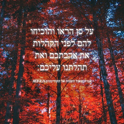 Picture 04 - אגרת שאול השניה אל הקורינתים 8:24 HEB - על כן הראו והוכיחו להם לפני - Bible Verse Picture