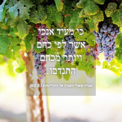 Picture 04 - אגרת שאול השניה אל הקורינתים 8:3 HEB - כי מעיד אנכי אשר לפי כחם - Bible Verse Picture