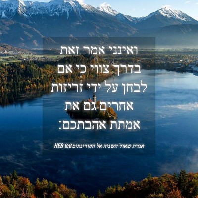 Picture 04 - אגרת שאול השניה אל הקורינתים 8:8 HEB - ואינני אמר זאת בדרך צווי כי - Bible Verse Picture