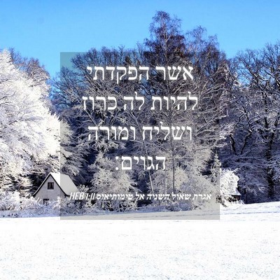 Picture 04 - אגרת שאול השניה אל טימותיאוס 1:11 HEB - אשר הפקדתי להיות לה כרוז - Bible Verse Picture