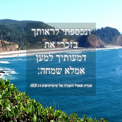 Picture 04 - אגרת שאול השניה אל טימותיאוס 1:4 HEB - ונכספתי לראותך בזכרי את - Bible Verse Picture