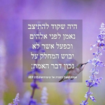 Picture 04 - אגרת שאול השניה אל טימותיאוס 2:15 HEB - היה שקוד להתיצב נאמן לפני - Bible Verse Picture