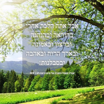 Picture 04 - אגרת שאול השניה אל טימותיאוס 3:10 HEB - אבל אתה הלכת אחרי בהוראה - Bible Verse Picture