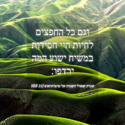 Picture 04 - אגרת שאול השניה אל טימותיאוס 3:12 HEB - וגם כל החפצים לחיות חיי - Bible Verse Picture