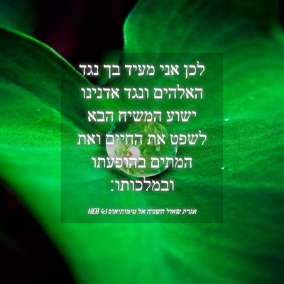 Picture 04 - אגרת שאול השניה אל טימותיאוס 4:1 HEB - לכן אני מעיד בך נגד האלהים - Bible Verse Picture