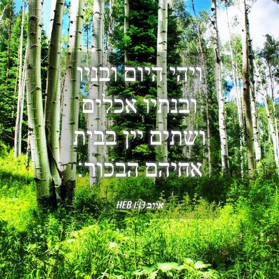 Picture 04 - איוב 1:13 HEB - ויהי היום ובניו ובנתיו - Bible Verse Picture