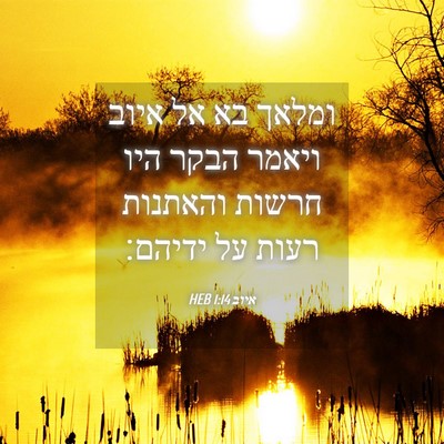 Picture 04 - איוב 1:14 HEB - ומלאך בא אל איוב ויאמר הבקר - Bible Verse Picture