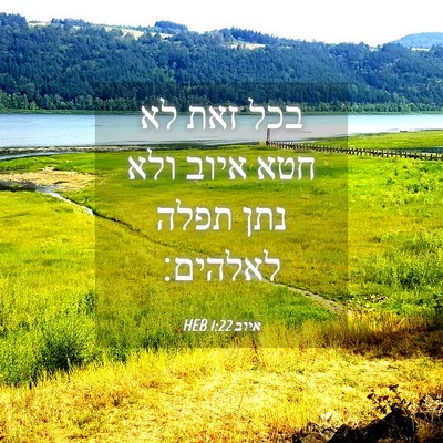 Picture 04 - איוב 1:22 HEB - בכל זאת לא חטא איוב ולא נתן - Bible Verse Picture