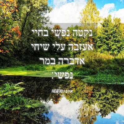 Picture 04 - איוב 10:1 HEB - נקטה נפשי בחיי אעזבה עלי - Bible Verse Picture