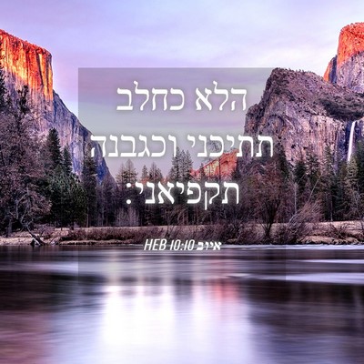 Picture 04 - איוב 10:10 HEB - הלא כחלב תתיכני וכגבנה - Bible Verse Picture