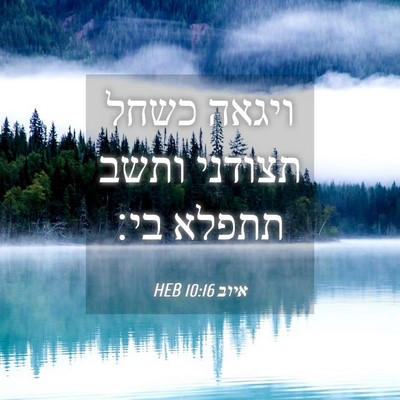 Picture 04 - איוב 10:16 HEB - ויגאה כשחל תצודני ותשב - Bible Verse Picture