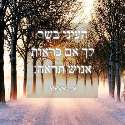 Picture 04 - איוב 10:4 HEB - העיני בשר לך אם כראות אנוש - Bible Verse Picture