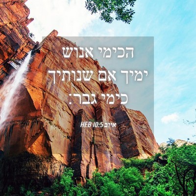 Picture 04 - איוב 10:5 HEB - הכימי אנוש ימיך אם שנותיך - Bible Verse Picture