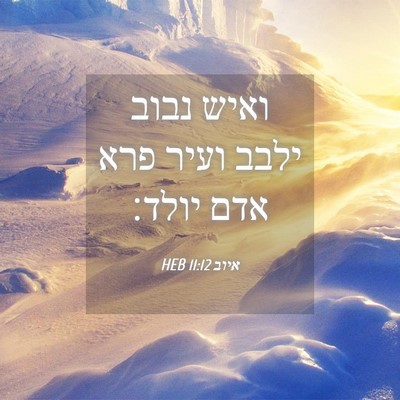 Picture 04 - איוב 11:12 HEB - ואיש נבוב ילבב ועיר פרא אדם - Bible Verse Picture