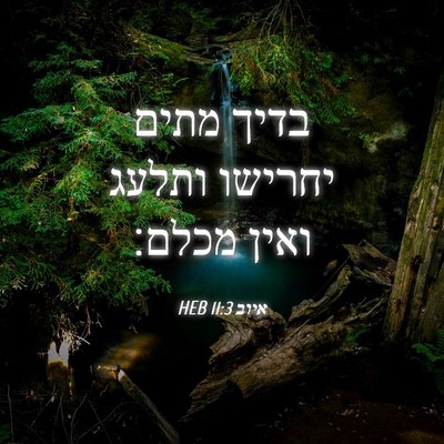 Picture 04 - איוב 11:3 HEB - בדיך מתים יחרישו ותלעג - Bible Verse Picture