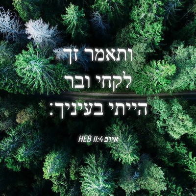 Picture 04 - איוב 11:4 HEB - ותאמר זך לקחי ובר הייתי - Bible Verse Picture