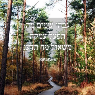 Picture 04 - איוב 11:8 HEB - גבהי שמים מה תפעל עמקה - Bible Verse Picture