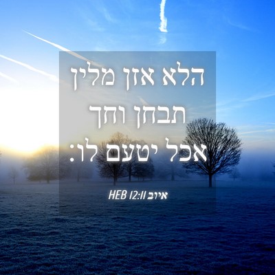 Picture 04 - איוב 12:11 HEB - הלא אזן מלין תבחן וחך אכל - Bible Verse Picture