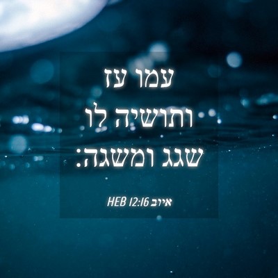 Picture 04 - איוב 12:16 HEB - עמו עז ותושיה לו שגג - Bible Verse Picture