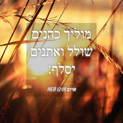 Picture 04 - איוב 12:19 HEB - מוליך כהנים שולל ואתנים - Bible Verse Picture