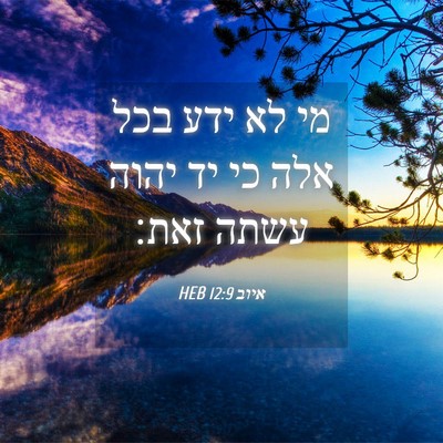 Picture 04 - איוב 12:9 HEB - מי לא ידע בכל אלה כי יד יהוה - Bible Verse Picture