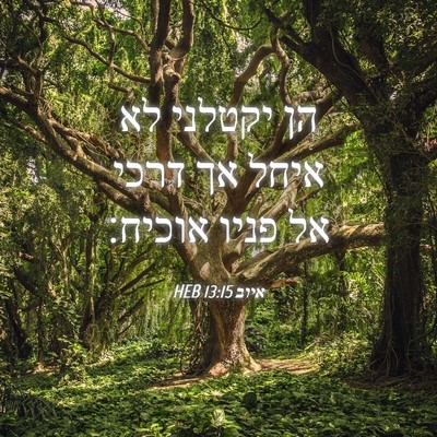 Picture 04 - איוב 13:15 HEB - הן יקטלני לא איחל אך דרכי - Bible Verse Picture