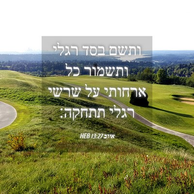 Picture 04 - איוב 13:27 HEB - ותשם בסד רגלי ותשמור כל - Bible Verse Picture