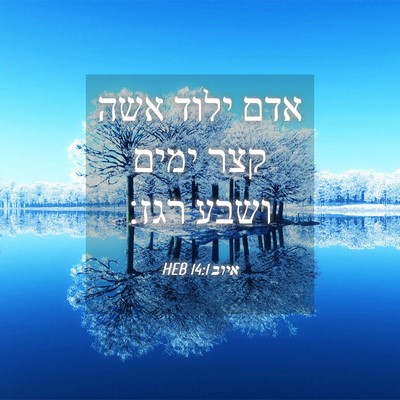 Picture 04 - איוב 14:1 HEB - אדם ילוד אשה קצר ימים ושבע - Bible Verse Picture