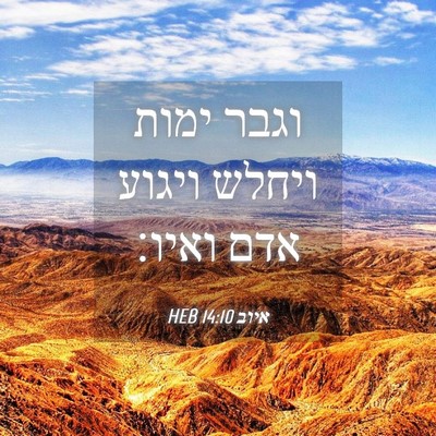Picture 04 - איוב 14:10 HEB - וגבר ימות ויחלש ויגוע אדם - Bible Verse Picture