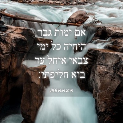 Picture 04 - איוב 14:14 HEB - אם ימות גבר היחיה כל ימי - Bible Verse Picture