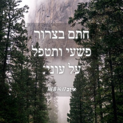 Picture 04 - איוב 14:17 HEB - חתם בצרור פשעי ותטפל על - Bible Verse Picture