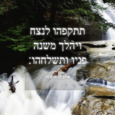 Picture 04 - איוב 14:20 HEB - תתקפהו לנצח ויהלך משנה - Bible Verse Picture