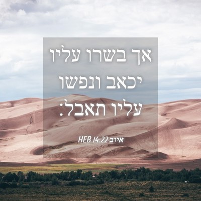 Picture 04 - איוב 14:22 HEB - אך בשרו עליו יכאב ונפשו - Bible Verse Picture